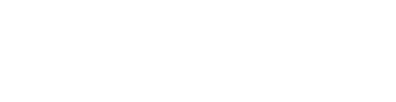 Sigillo Netcomm