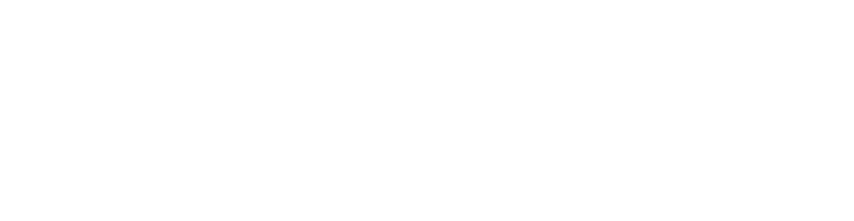 logo netcomm white
